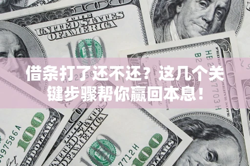 武汉借条打了还不还？这几个关键步骤帮你赢回本息！