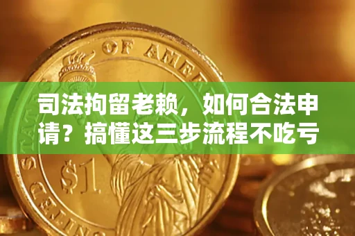 武汉司法拘留老赖，如何合法申请？搞懂这三步流程不吃亏！
