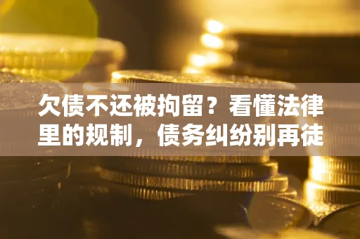 武汉欠债不还被拘留？看懂法律里的规制，债务纠纷别再徒劳奔波