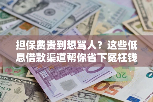 武汉担保费贵到想骂人？这些低息借款渠道帮你省下冤枉钱