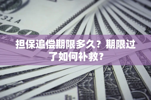 武汉担保追偿期限多久？期限过了如何补救？