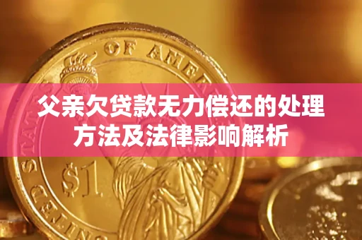 武汉父亲欠贷款无力偿还的处理方法及法律影响解析
