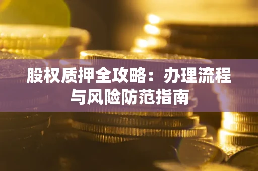 武汉股权质押全攻略：办理流程与风险防范指南
