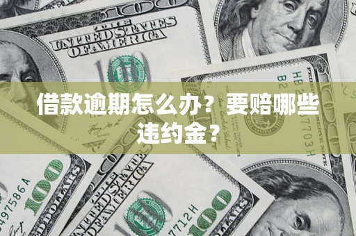 武汉借款逾期怎么办？要赔哪些违约金？