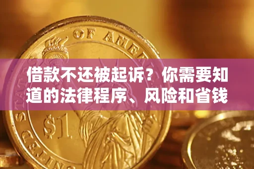 武汉借款不还被起诉？你需要知道的法律程序、风险和省钱技巧