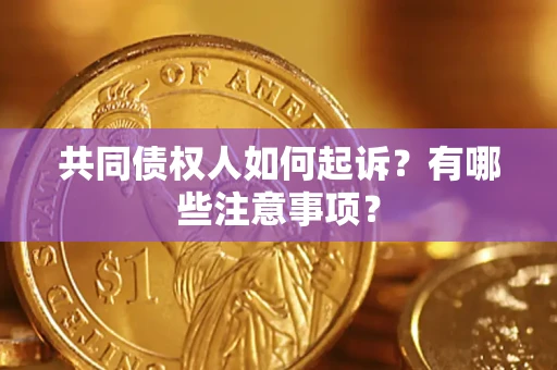 武汉共同债权人如何起诉？有哪些注意事项？